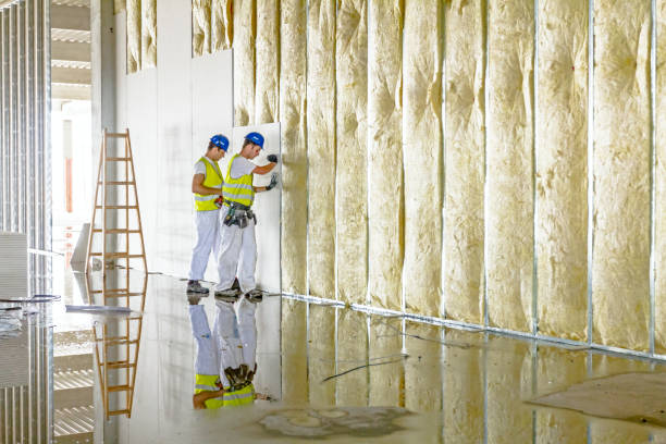 Best DIY Insulation Kits and Guidance in Greenfield, OH